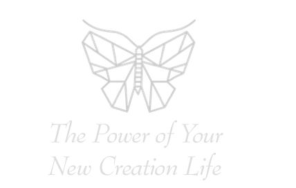 SmallButterflyBranding